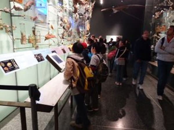 「マンハッタンの岩盤地層をたずねて」