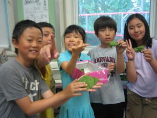 「カイコの飼育」