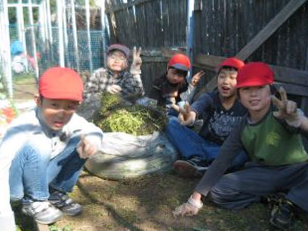 「オクラついに発芽!」