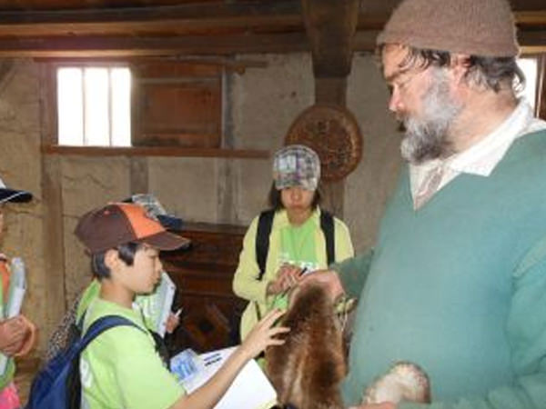 マサチューセッツ州で学んだこと」