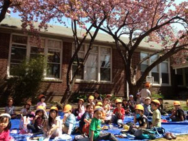 ｢満開のさくらと共に、年長組始まる｣