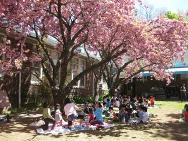 「入学~お花見昼食会」