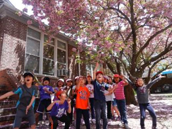 「お花見昼食」