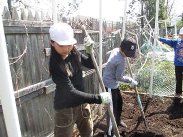 「学級園に種を蒔きました」
