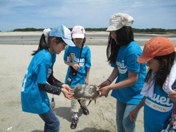「カブトガニ観察・農業体験旅行に行って来ました」