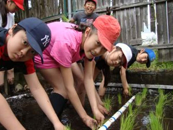「田植え体験」