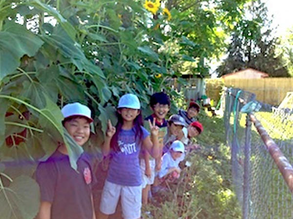 ひまわりって大きいなぁ!