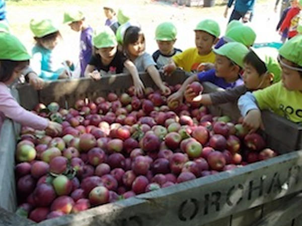 「秋の遠足りんご狩り」