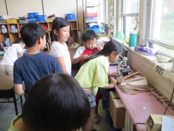 「理科:モンシロチョウを育てています」