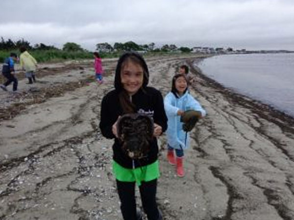 「カブトガニとの出会い」