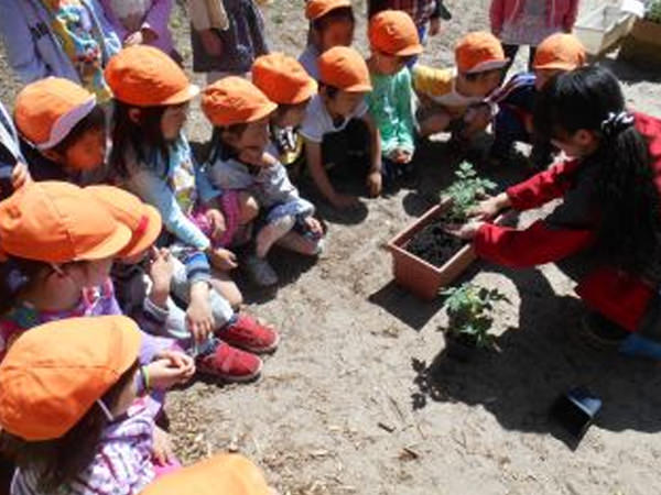「大きく美味しくなぁれ!野菜の苗植え」
