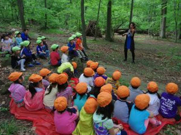 「森でバイオリンコンサート」