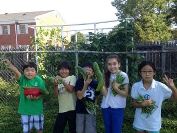 「インゲン大収穫祭」