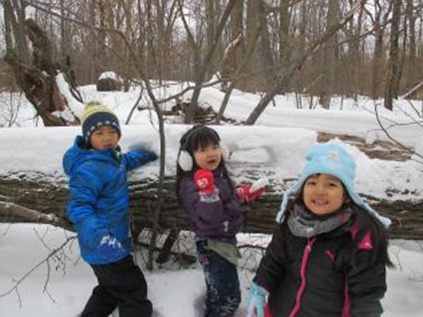 「森の幼稚園」