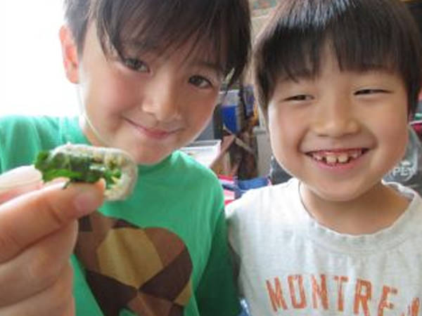 「やっぱりカイコ」