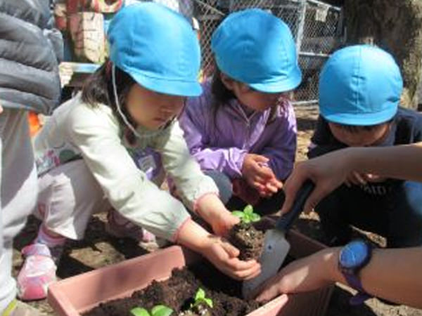 「大きく美味しくなぁれ!野菜の苗植え」