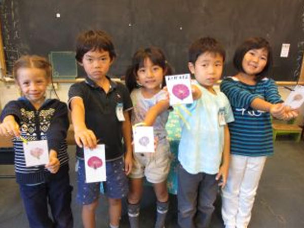 「生活科　育てたアサガオで、しおり作り」