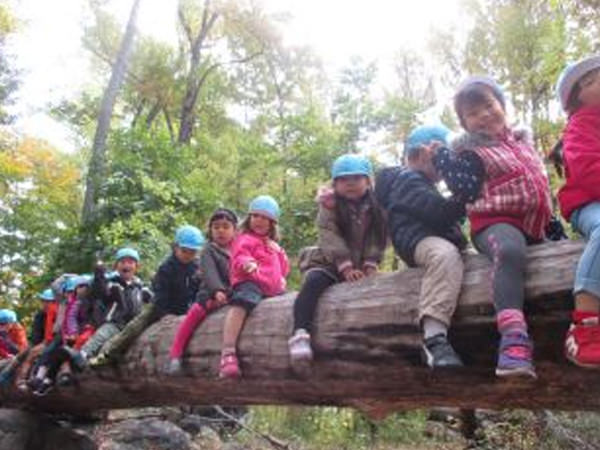 「森の幼稚園」