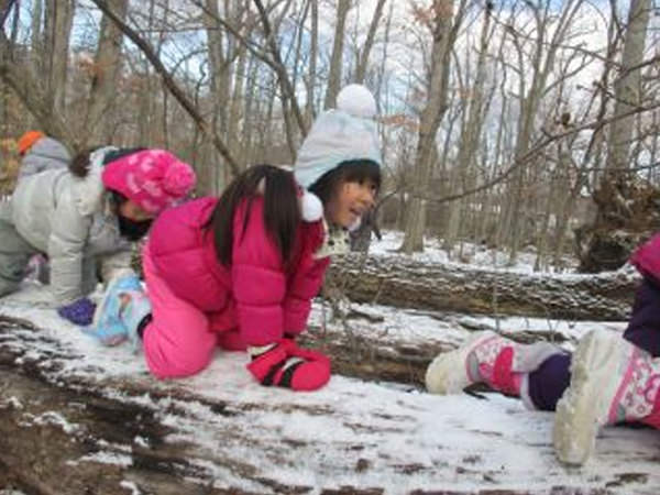「森の幼稚園 冬」