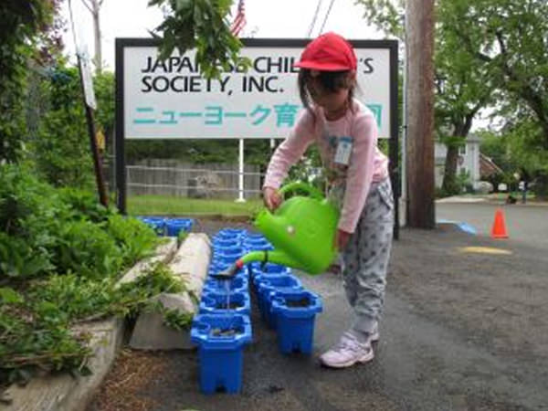 「生活科での授業」