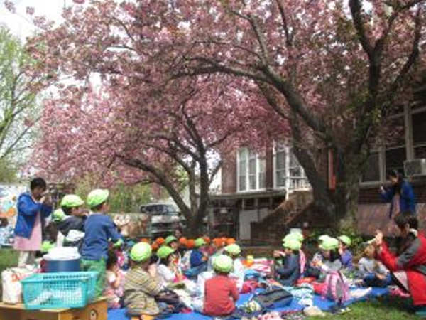 「満開のさくらと共に、年中組始まる」