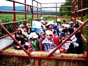 全日制小学部1~3年「ファームステイ」ヘイライド