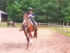 宿泊キャンプ「乗馬編」