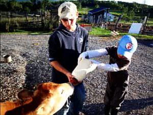 全日制小学部1~3年「ファームステイ」子牛に授乳