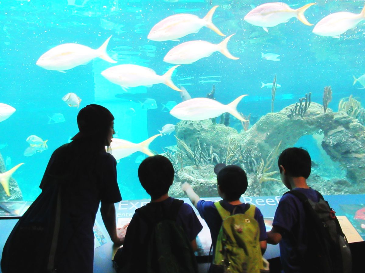 英語サマー：シャボン玉遊び