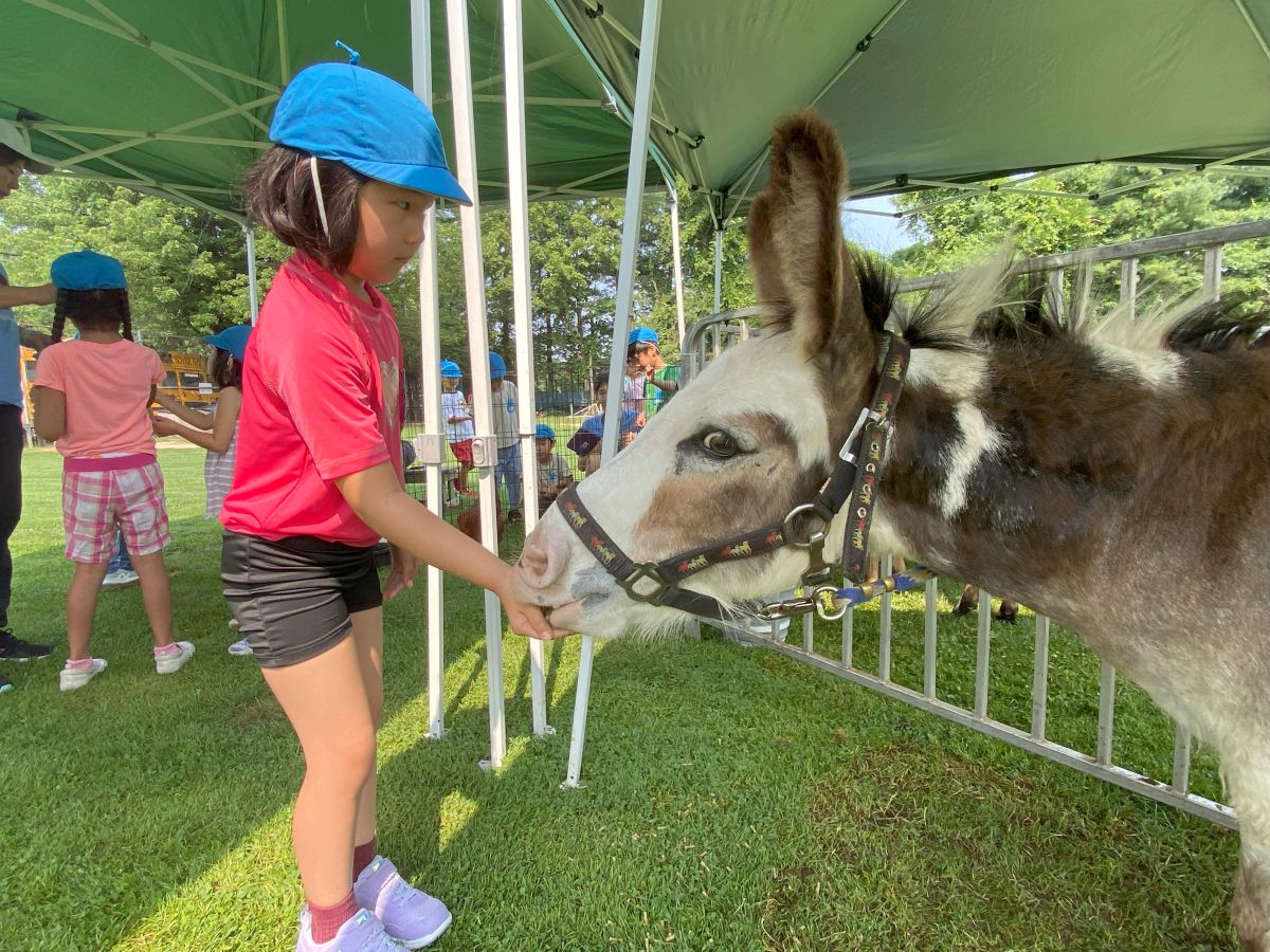 幼児サマー：遠足