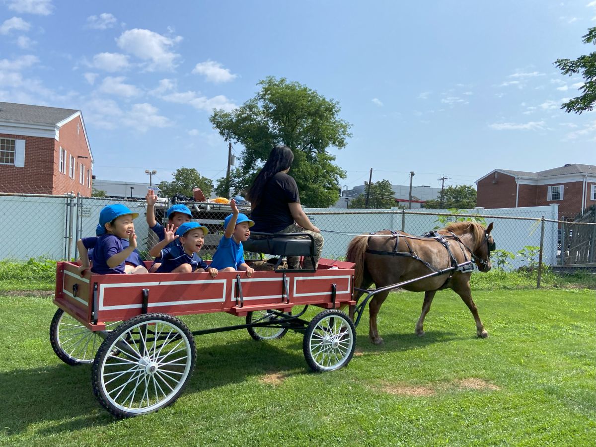 幼児サマー：ミニヘイライド